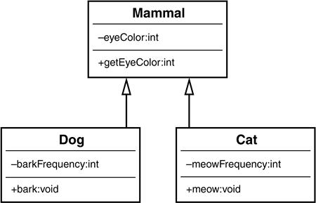 mammal hierarchy