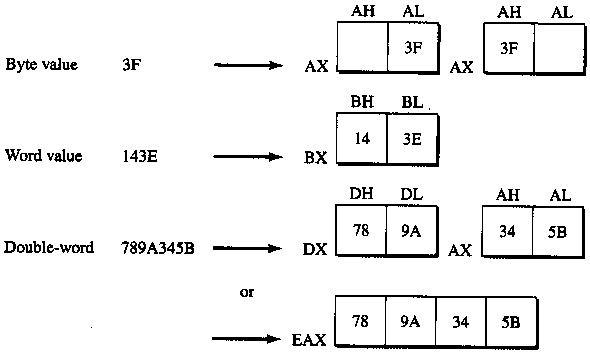 storing different data types in register