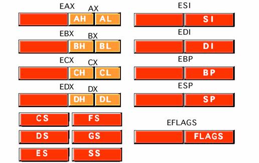 32 64-bit 80x86 assembly language architecture